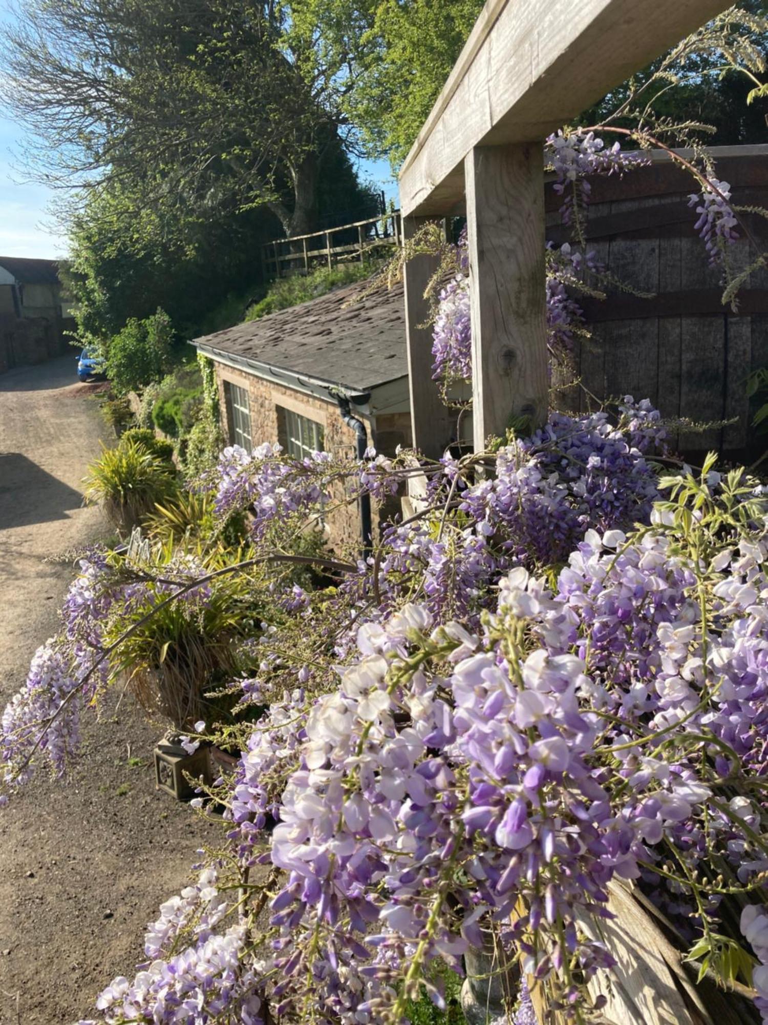 Lavender Cottage Gloucester Exterior foto